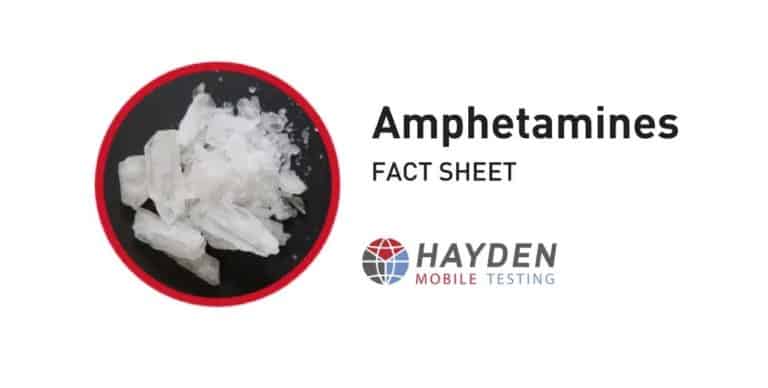 Amphetamines Fact Sheet - Workplace Testing Service - Hayden Health & Safety