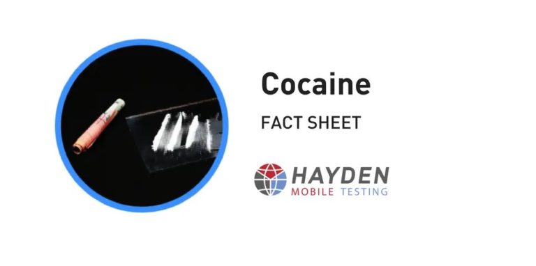 Cocaine Fact Sheet - Workplace Testing Service - Hayden Health & Safety