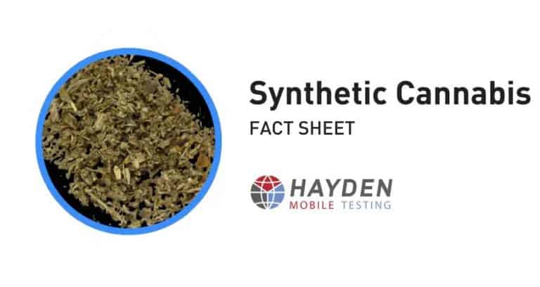Synthetic Cannabis Fact Sheet - Workplace Testing Service - Hayden Health & Safety
