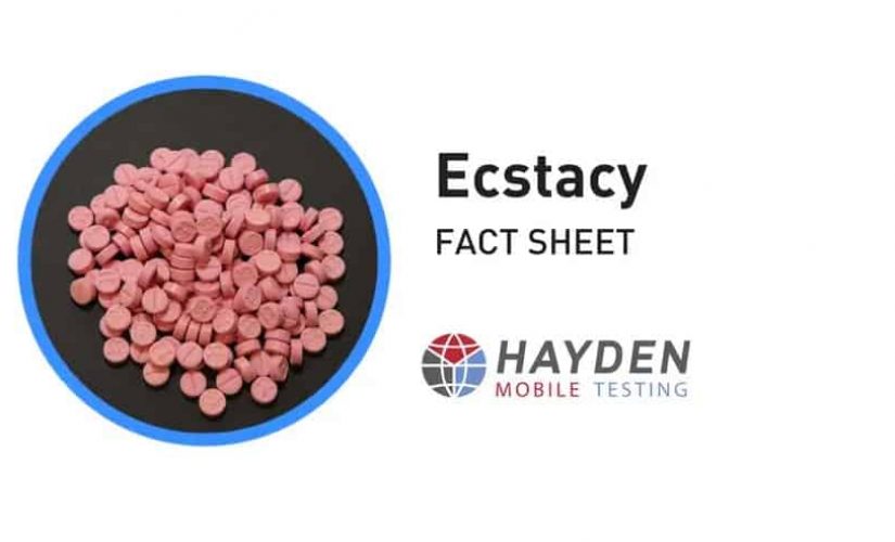 Ecstasy Fact Sheet - Workplace Testing Service - Hayden Health & Safety