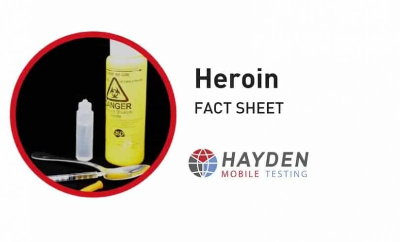 Heroin Fact Sheet - Workplace Testing Service - Hayden Health & Safety